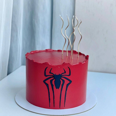 "Паук" купить - абакан.сладкоежкин.рф