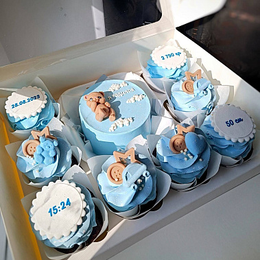 "Новая жизнь" купить - абакан.сладкоежкин.рф