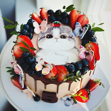 Торт "Котенок" купить - абакан.сладкоежкин.рф